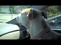 Car Singing