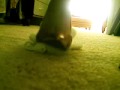 Stomping stuffed animal, heels and Feet Stomping stuffed animal, heels and Feet