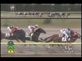 videos de [レースリプレイ] 081115 3福島7 06R
