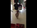 Dancing in the dive shop - Merlin Divers - Kamala Beach: http://t.co/ylvBA1nF via @YouTube