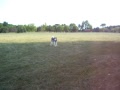Kanook and His Stick