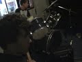 Duarte Rosado & Band - Levame Contigo