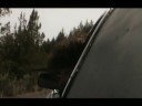 Necropolis Reborn is a short Zombie film that placed 2nd at the Alamo Drafthouse 