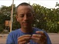 Eating Bugs: Water Bug - Gross Grub Thai Food Series