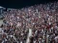 GOL-DE-ARELLANO-CHIV