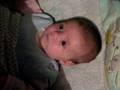 videos de Elora