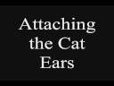Cat-Ear Fleece Hat Tutorial! DIY 2