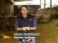 Labranza (TVG) - Veterinarios identificadores