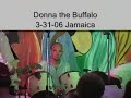 donna the buffalo in jamaica funky side   2 camera