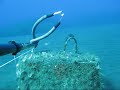 Pescasub: Polpi e Seppie Pescasub: Polpi e Seppie
