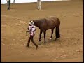 2007 AQHYA World Show Showmanship 2007 AQHYA World Show Showmanship