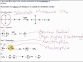 mechanism of bromomethane