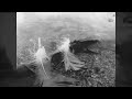 this final project is a montage of different footage and stills that relate to some of the themes & subjects that have been raised in our class discussions in relation to 