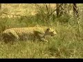 eritrea at a glance