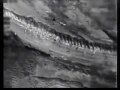 Raw Video: Salang Rescue Operation