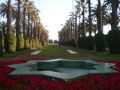 Casablanca 2009