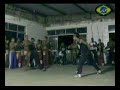 capoeira-show.html