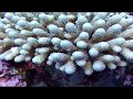 Aitutaki Day Tour Aitutaki Day Tour