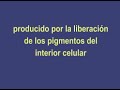 Experiencias Clasicas en Biologia: Permeabilidad de membrana 2
