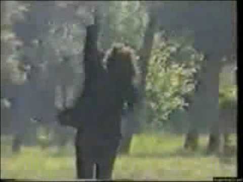 Video de Pequeña ala de Pappo