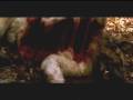 Cabin Fever Edit Trailer