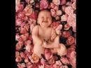 Sweet Funny Babies (MJM)