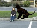 Compositing animation project Compositing animation project
