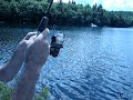 rainbow trout on 3lb test rainbow trout on 3lb test