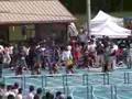 State Track Meet 2005 - 110m hurdles