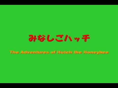 みなしごハッチ The Adventures of Hutch the Honey Bee