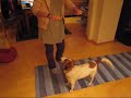 My dog Mira!