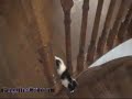 Kitten Falls down the Stairs
