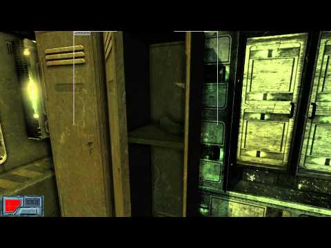 Immagine anteprima YouTube