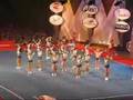 Stingrays Orange NCA 2006