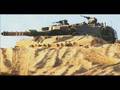 IDF Tribute