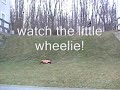 BEAT YOUR TRUCKS!!!
