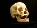 922-125FD Female Skeleton - Disarticulated