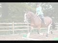 [Willow] - the first video ♥