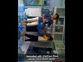 Video pemerkosaan sadis.3gp