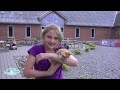 Jane von janes-wilde-welt.de - Urlaub auf dem Bauernhof in Dänemark
