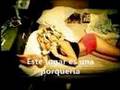Trailer de Conker`s Bad Fur Day N64