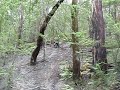 slippery rutted out prick of a hill