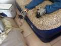 videos de noton en matre de aire 2