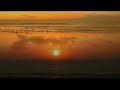 nine minutes from charles koechlin's symphonic poem 'le buisson ardent', his last work for full orchestra. according to many critics this symphonic poem can be considered the composer