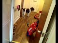 Buddy and Bude