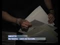 hormonika suoni dal castello   barletta