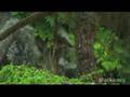Alaska.org - Wrangell Alaska: Waiting To Be ...