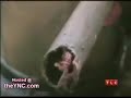 THE PIPE- asian perforation (impaled)