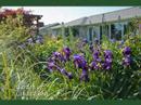 Whatcom Horticultural Society Tour 2008