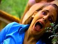 los-fresones-rebeldes-al-amanecer.html
